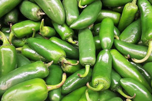 Jalapeños procesados para exportación